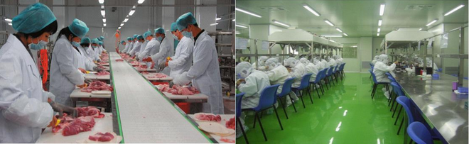 臭食品生產及包裝等各環(huán)節(jié)中的臭氧應用
