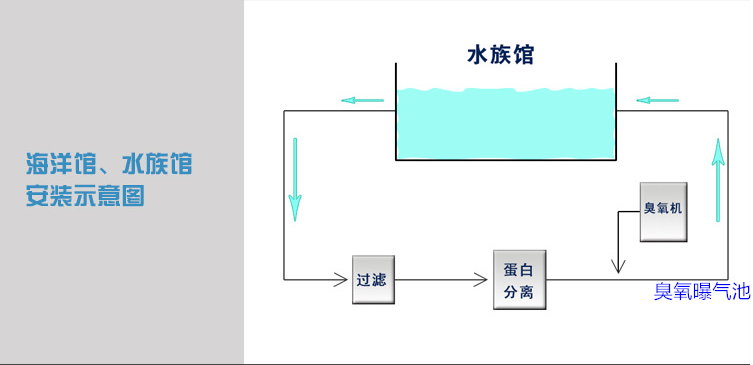 海洋館過濾，蛋分，臭氧，曝氣池.png